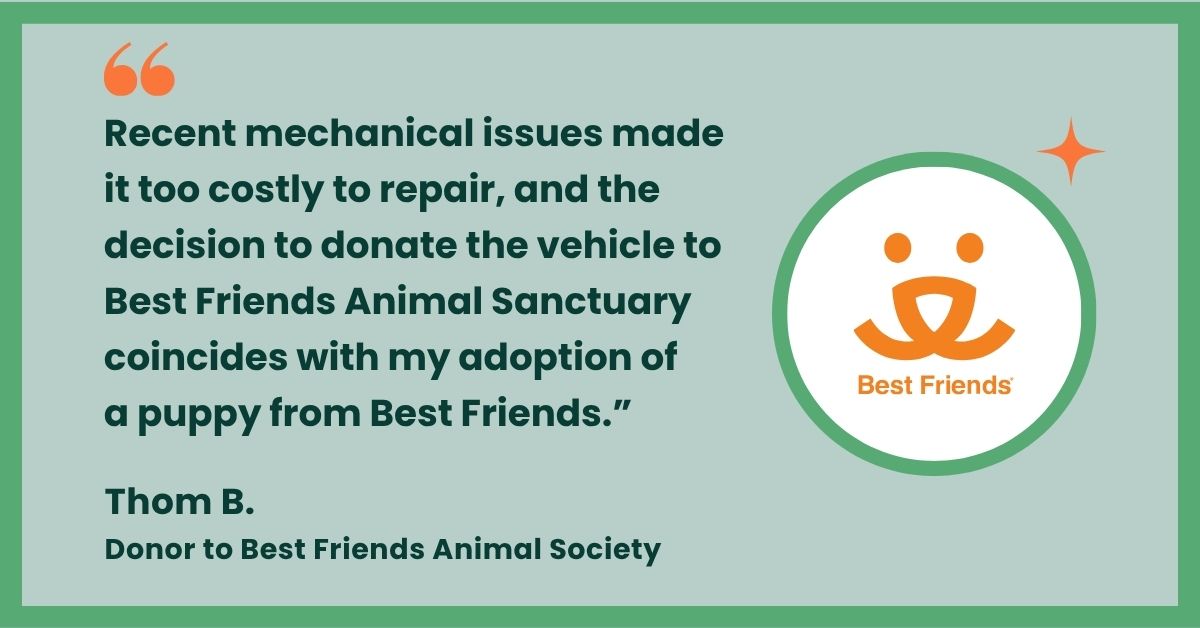 Best Friends testimonial