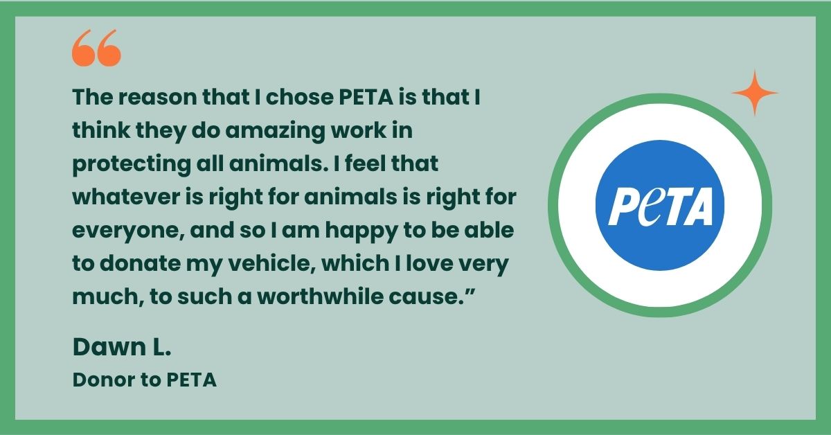 Peta testimonial